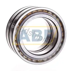Цилиндрический роликовый подшипник SL045018-D-PP INA
