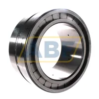 Цилиндрический роликовый подшипник SL185032-A-C3 INA