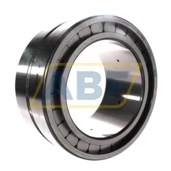 Цилиндрический роликовый подшипник SL185032-A-C3 INA