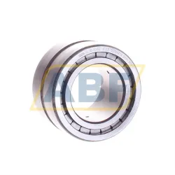 Цилиндрический роликовый подшипник SL185008-A-C3 INA