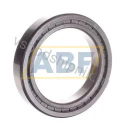 Цилиндрический роликовый подшипник однорядный SL182912-B-XL INA