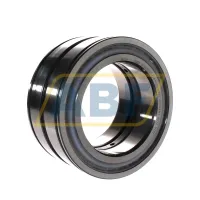Цилиндрический роликовый подшипник SL045022-D-PP-C3-GA22 INA
