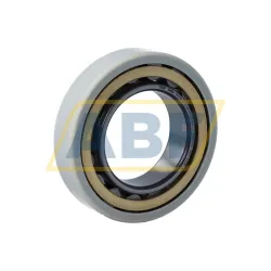 Цилиндрический роликовый подшипник однорядный NU210-E-XL-M1-F1-J20AA-C4 FAG