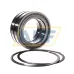 Цилиндрический роликовый подшипник SL045019-D-PP-2NR INA