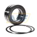 Цилиндрический роликовый подшипник SL045019-D-PP-2NR INA