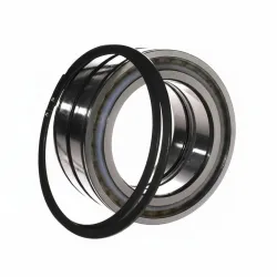 Цилиндрический роликовый подшипник SL045019-D-PP-2NR INA