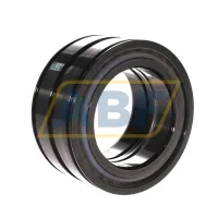 Цилиндрический роликовый подшипник SL045016-D-PP-C3 INA