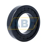 Цилиндрический роликовый подшипник однорядный SL182216-A-BR-C3-4S INA