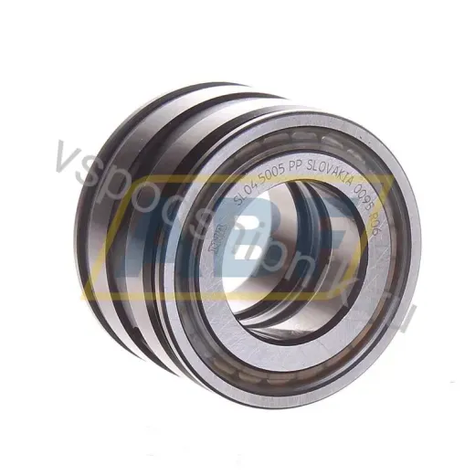 Цилиндрический роликовый подшипник SL045005-PP INA
