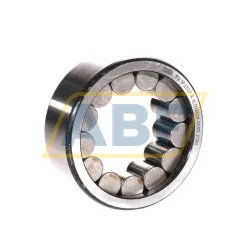 Цилиндрический роликовый подшипник однорядный RSL192307-A INA