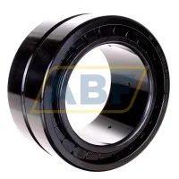 Цилиндрический роликовый подшипник SL185022-A-BR-C3 INA