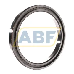 Цилиндрический роликовый подшипник однорядный SL181838-A INA