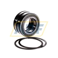 Цилиндрический роликовый подшипник SL045009-PP-2NR-C3-GA22 INA