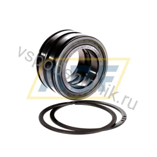 Цилиндрический роликовый подшипник SL045009-PP-2NR-C3-GA22 INA