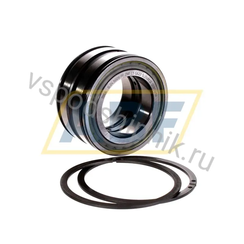 Цилиндрический роликовый подшипник SL045009-PP-2NR-C3-GA22 INA 360