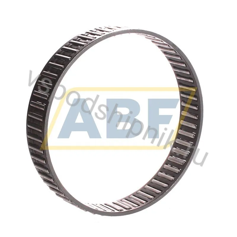 Игольчатый роликовый подшипник K100X107X21-A/-4-6 INA 360