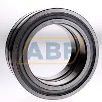 Цилиндрический роликовый подшипник SL045024-D-PP-2NR-C3 INA