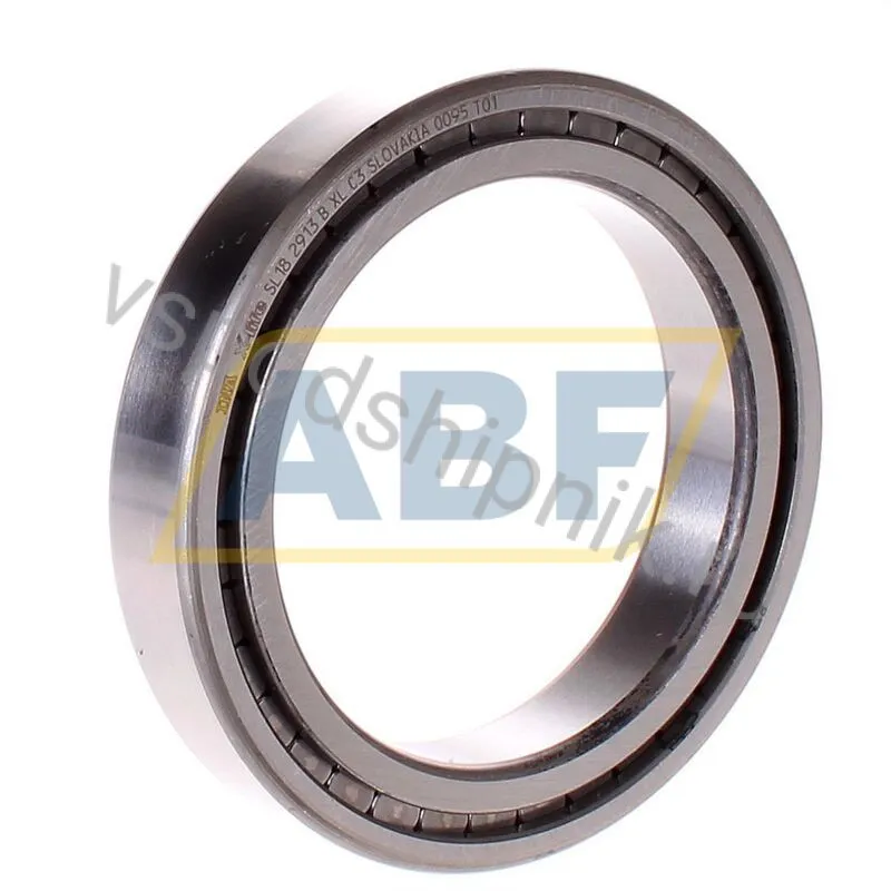 Цилиндрический роликовый подшипник однорядный SL182913-B-XL-C3 INA 360