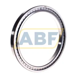 Цилиндрический роликовый подшипник однорядный SL181844-A INA