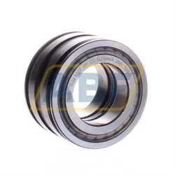 Цилиндрический роликовый подшипник SL045007-PP-C3 INA