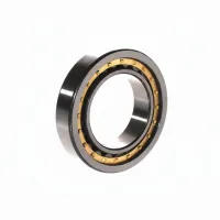 Цилиндрический роликовый подшипник однорядный NU1009-XL-M1-C3 FAG