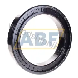 Цилиндрический роликовый подшипник однорядный SL182932-B-XL-BR INA