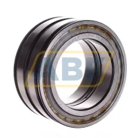 Цилиндрический роликовый подшипник SL045015-PP-C2 INA