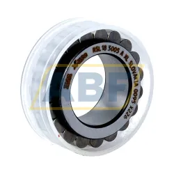 Цилиндрический роликовый подшипник однорядный RSL183005-A-XL-2S INA