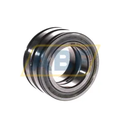 Цилиндрический роликовый подшипник SL045009-PP INA