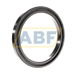 Цилиндрический роликовый подшипник однорядный SL181836-A-C3 INA