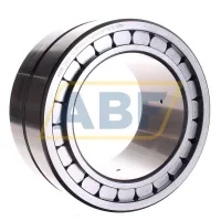 Цилиндрический роликовый подшипник SL185026-A INA