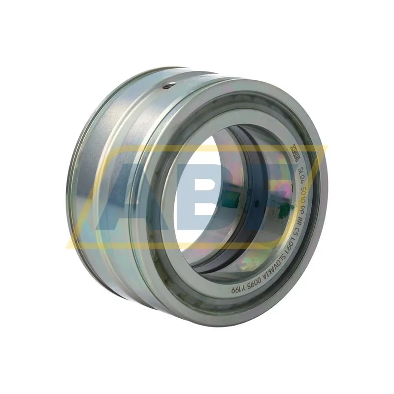 Цилиндрический роликовый подшипник SL045010-PP-RR-C5-L091 INA 360