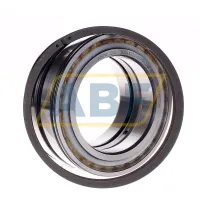 Цилиндрический роликовый подшипник SL045020-D-PP-2NR INA
