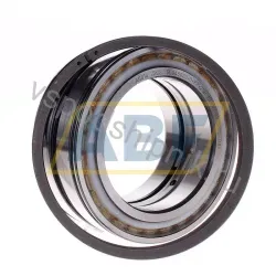 Цилиндрический роликовый подшипник SL045020-D-PP-2NR INA