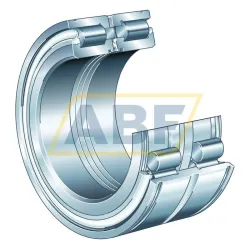 Цилиндрический роликовый подшипник SL045036-D INA