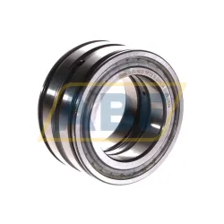 Цилиндрический роликовый подшипник SL045010-PP-C2 INA