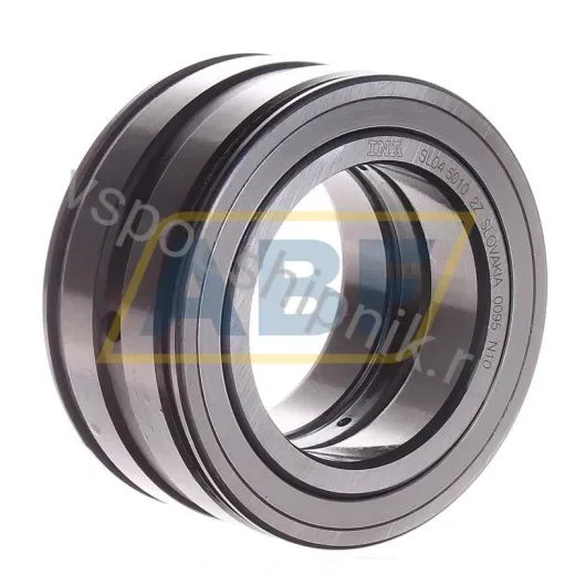 Цилиндрический роликовый подшипник SL045010-2Z INA