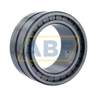 Цилиндрический роликовый подшипник SL185020-A-C3-2S INA