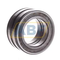 Цилиндрический роликовый подшипник SL045010-PP-C3 INA