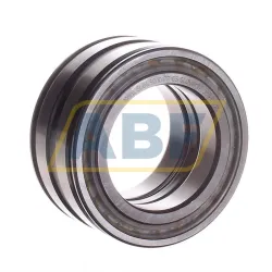 Цилиндрический роликовый подшипник SL045010-PP-C3 INA