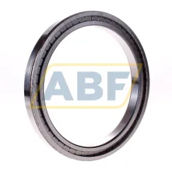 Цилиндрический роликовый подшипник однорядный SL181836-A INA