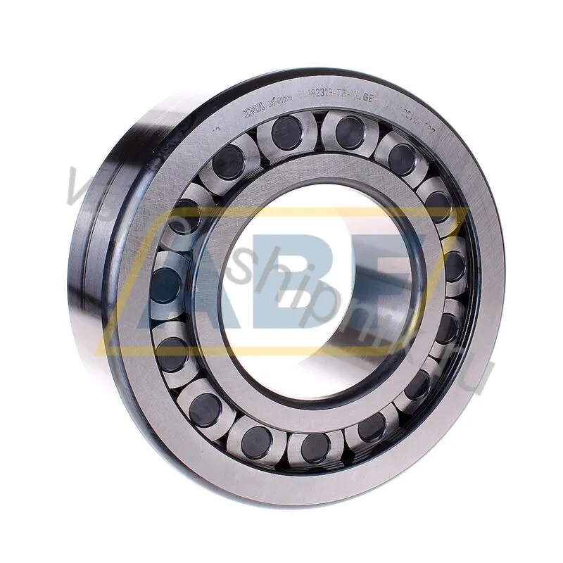 Цилиндрический роликовый подшипник однорядный SL192319-TB-XL INA 360