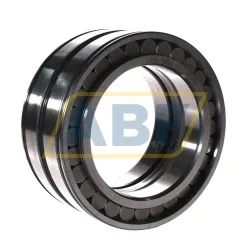 Цилиндрический роликовый подшипник SL045020-D INA