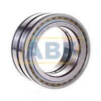 Цилиндрический роликовый подшипник SL045017-D-PP INA
