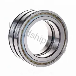 Цилиндрический роликовый подшипник SL045017-D-PP INA