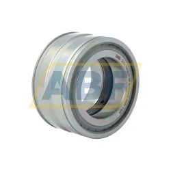 Цилиндрический роликовый подшипник SL045009-PP-RR INA