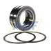 Цилиндрический роликовый подшипник SL045016-D-PP-2NR-C3-GA22 INA