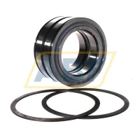 Цилиндрический роликовый подшипник SL045016-D-PP-2NR-C3-GA22 INA