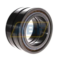 Цилиндрический роликовый подшипник SL04100-D-PP INA