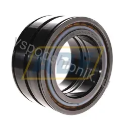 Цилиндрический роликовый подшипник SL04100-D-PP INA